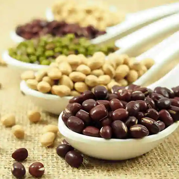 Oil Seeds
